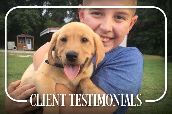 Windy Hill Retrievers Testimonials 